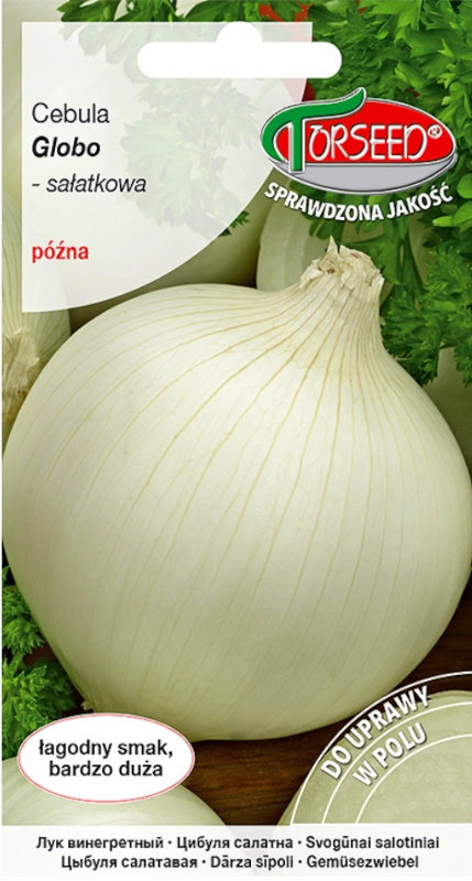 Torseed Cebula Globo nasiona 2 sklep rajogrodnika